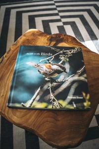 Image 1 of An Ode to the Birds