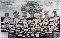 Boulder Regenerative Ecosystem Print