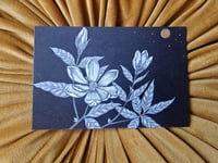 "Moonlit Magnolias" Mini Print