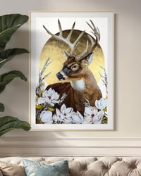 Image 1 of TIEMPO DORADO - magnolia fields