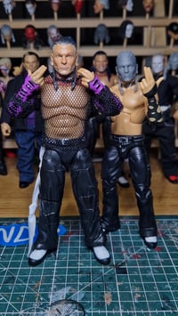 Image 3 of Jeff Hardy - 2025 - Braids