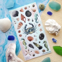 Image 1 of Coastal Collection Sticker Sheet