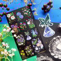 Image 1 of Magical Blooms Sticker Sheet