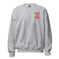 Image 18 of Anabolic X Embroidered Hoodie and Crewneck Grey