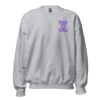 Image 20 of Anabolic X Embroidered Hoodie and Crewneck Grey