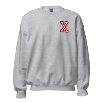 Image 21 of Anabolic X Embroidered Hoodie and Crewneck Grey