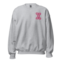Image 19 of Anabolic X Embroidered Hoodie and Crewneck Grey