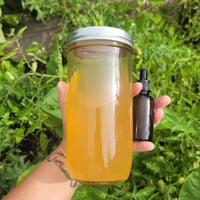 Lion's Mane Tincture 60ml