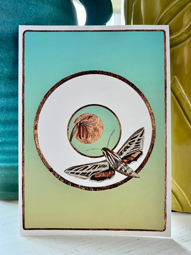 Hidden Jewels Art Prints - Set of Five