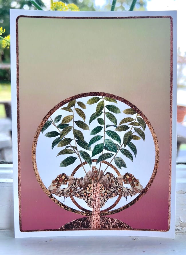 Hidden Jewels Art Prints - Set of Five