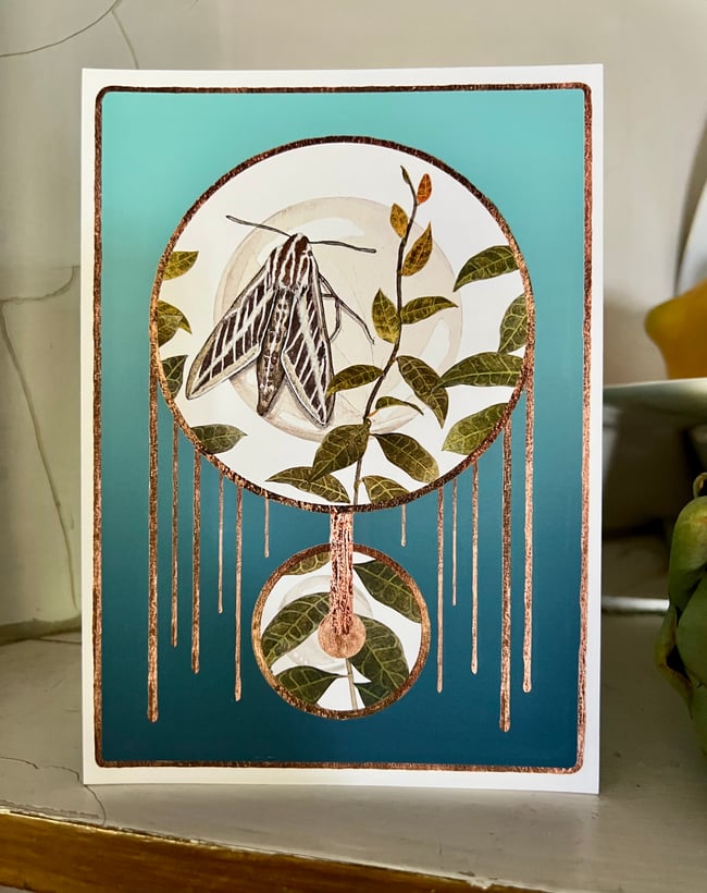 Hidden Jewels Art Prints - Set of Five