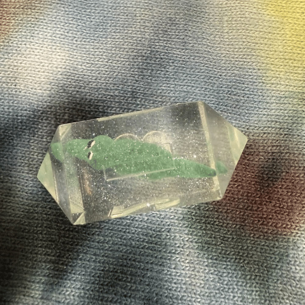 Image of Gator Filled D4 (Crystal)