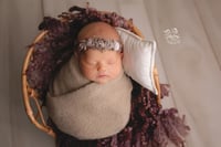 Image 2 of Newborn Wrapped Mini Session