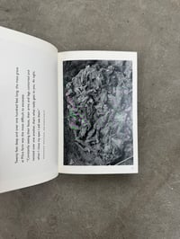 Image 2 of The Graves - Gilles Peress and Eric Stover