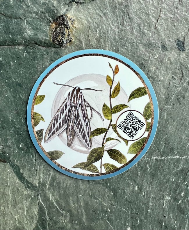 Hidden Jewels stickers