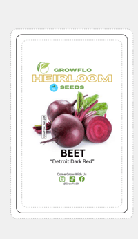 Heirloom Beet Seeds