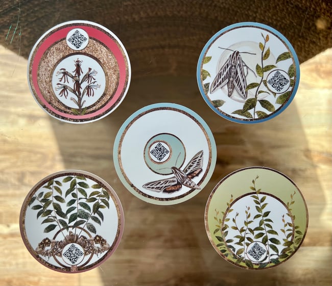 Hidden Jewels stickers 5 pack