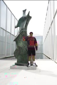 Image 1 of Divergent University “ SDS”