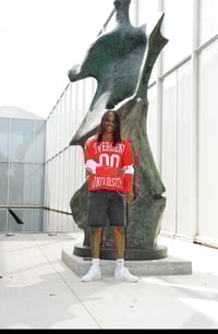 Image 4 of Divergent University “Red Dawn”