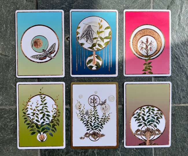 Hidden Jewels Card Set
