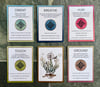 Hidden Jewels Card Set