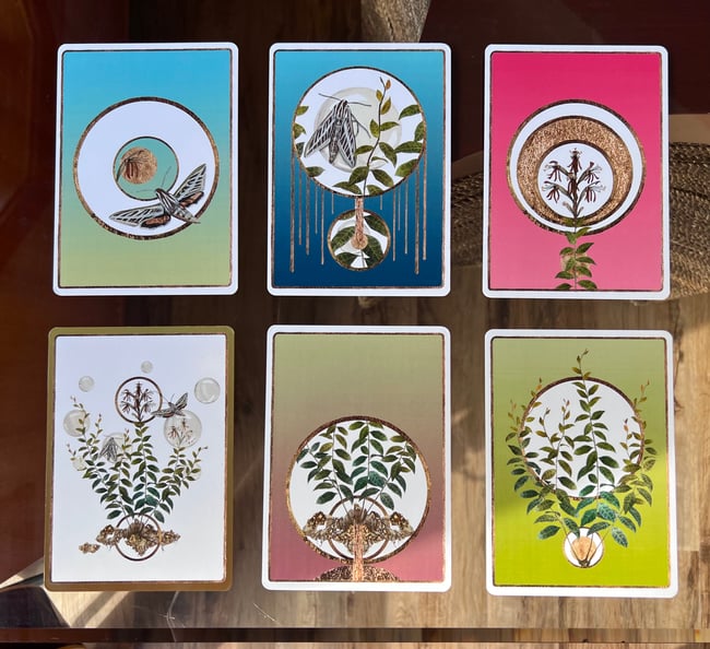 Hidden Jewels Card Set