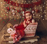 Image 1 of Christmas Sleigh different design 