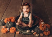 Image 1 of Cosy Pumpkins