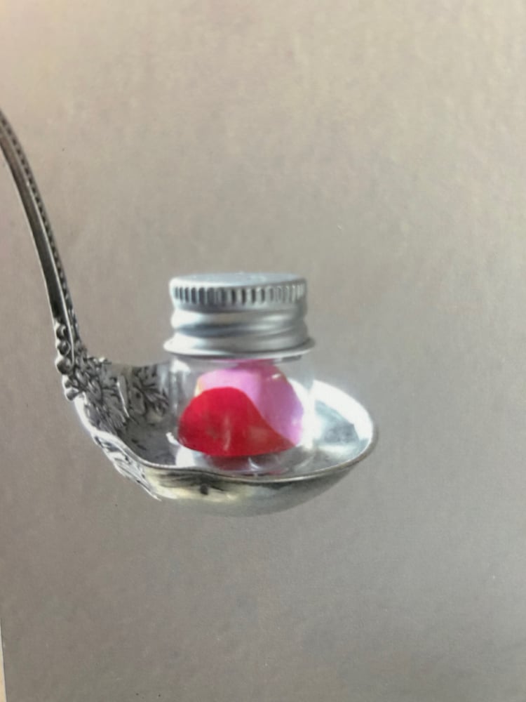 Image of Spoon-fed Beauty Series No. 31