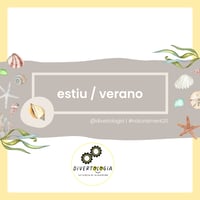 Image 1 of ESTIU / VERANO