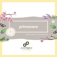 Image 1 of PRIMAVERA