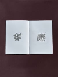 Image 3 of Lace and Embroidery Designs of the Sixteenth Century