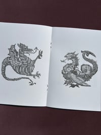 Image 4 of Lace and Embroidery Designs of the Sixteenth Century