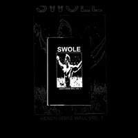 Image 1 of SWOLE HENCH NOISE WALL VOLUME 1