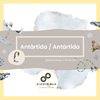 Image 1 of ANTARTIDA