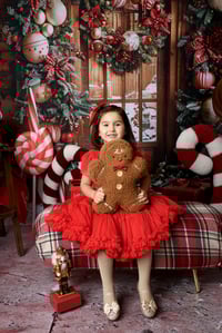 Image 4 of 8th of November CHRISTMAS CAROUSE