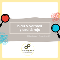 Image 1 of BLAU & VERMELL / AZUL & ROJO