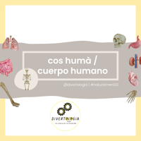 Image 1 of COS HUMÀ / CUERPO HUMANO
