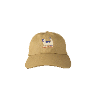 Image 2 of CAT WITH SOCKS ON baseball cap