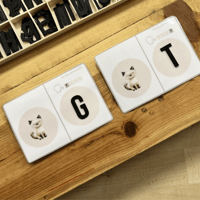 Image 5 of MASCOTES / MASCOTAS