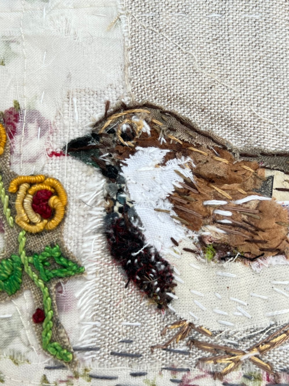 Image of Little Brown Sparrow