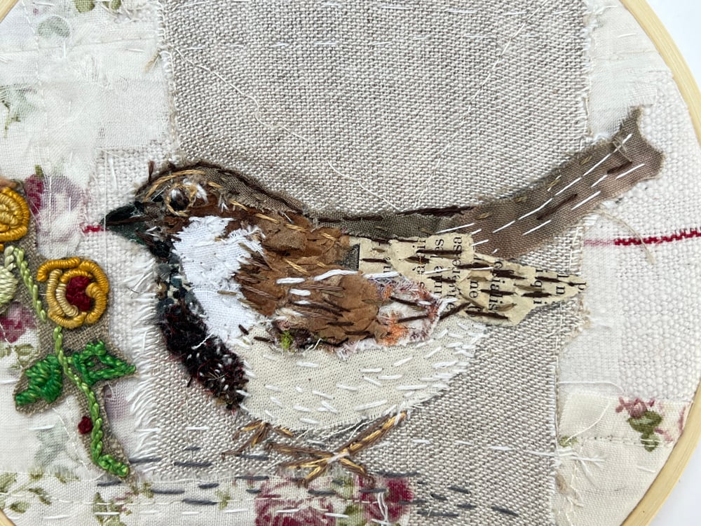 Image of Little Brown Sparrow