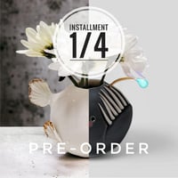 PRE-ORDER Alicia #216. Payment 1.