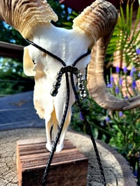 Image 2 of Teeth Bolo