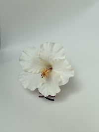 Image 1 of white hibiscus claw