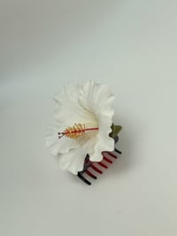 Image 2 of white hibiscus claw