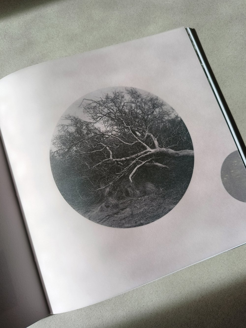 Image of Preventa Monte / Libro 1 - Vacío y Espesura 