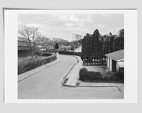 Print I Natural Surroundings 01