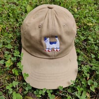 Image 1 of CAT WITH SOCKS ON baseball cap