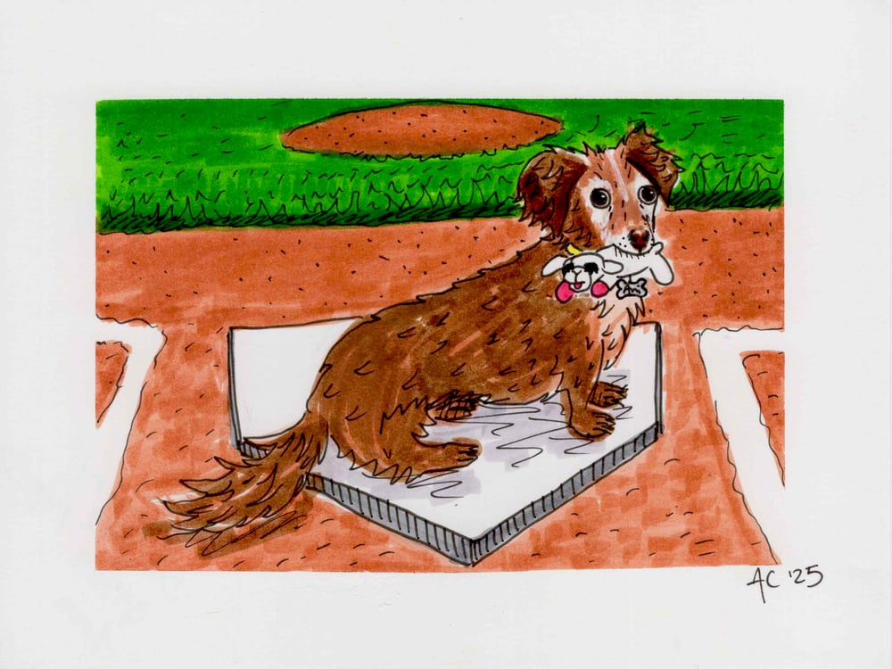 Image of Pet Portrait (PHYSICAL AND DIGITAL)